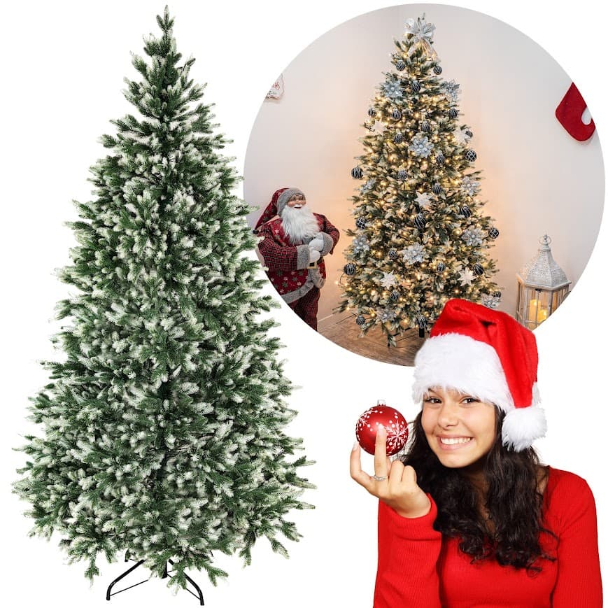 Świerk Królewski Fros CHA07