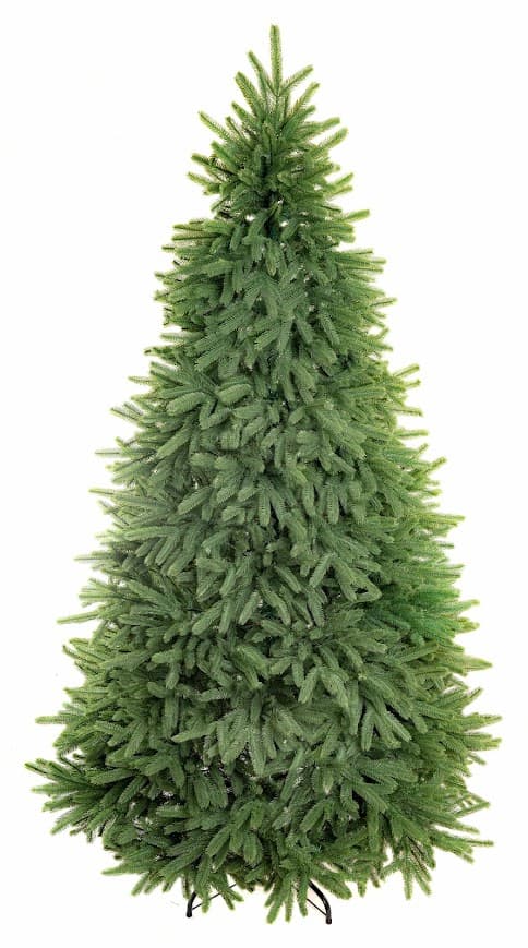 Świerk Królewski Classic CHA08